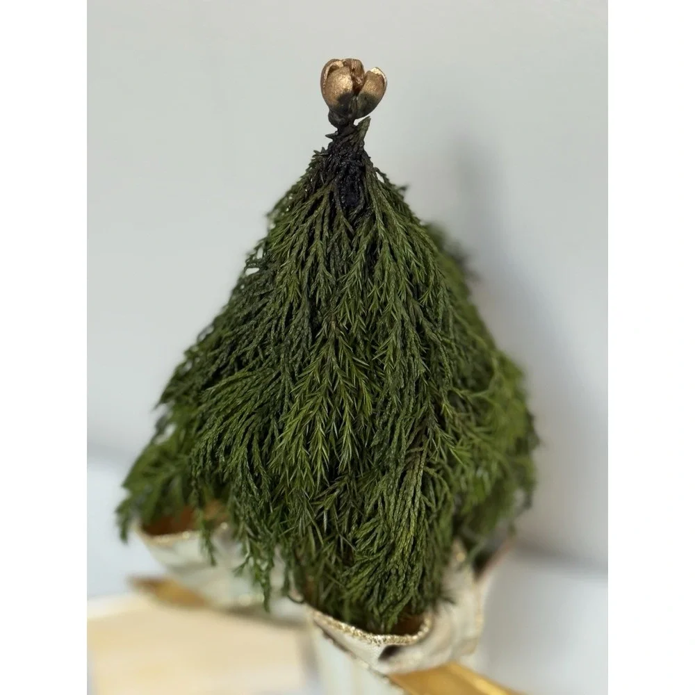 NEW Mackenzie Childs Evergreen  Accents Topiary Mocha Check/Stripe 9